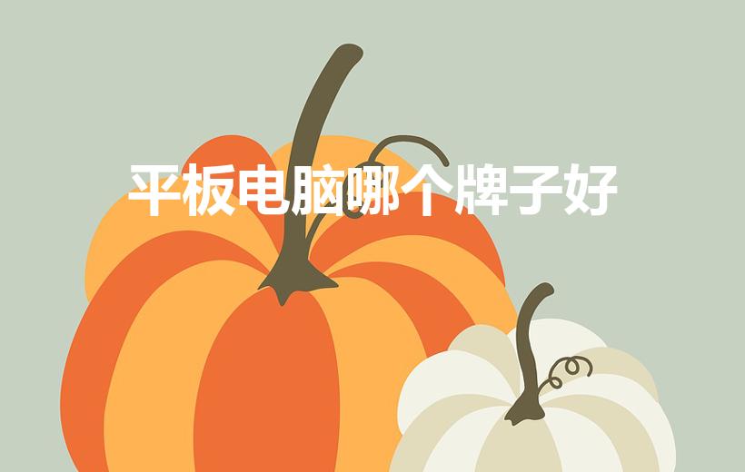 平板电脑哪个牌子好（平板电脑什么牌子好）