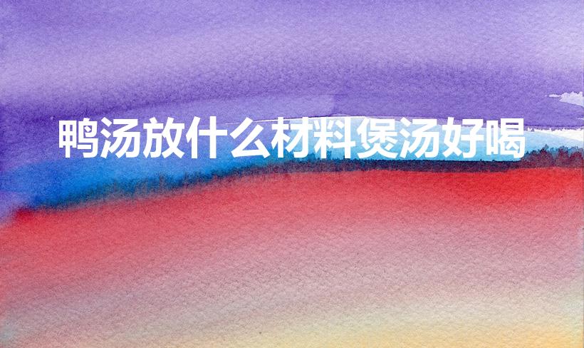鸭汤放什么材料煲汤好喝（鸭肉煲汤放什么材料好）