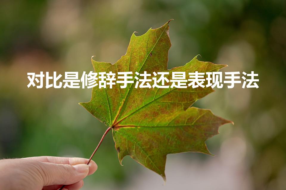 对比是修辞手法还是表现手法（对比是修辞还是表现手法）