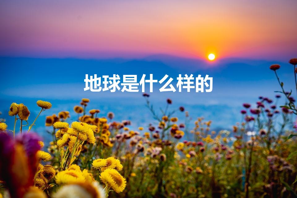 地球是什么样的（地球是什么样子的）