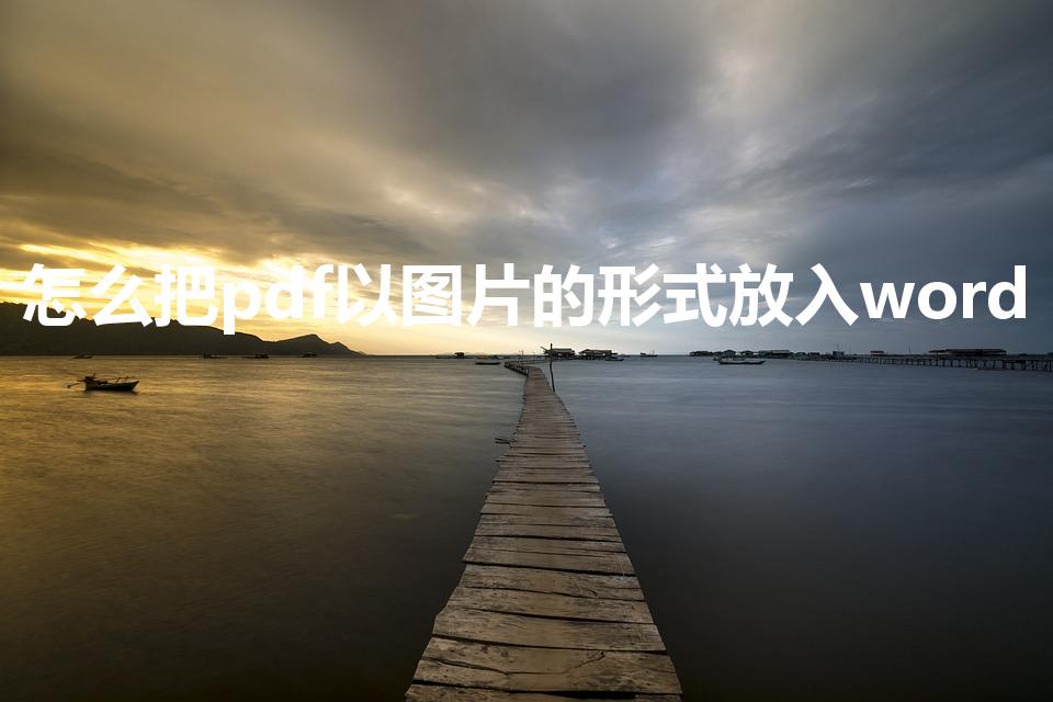 怎么把pdf以图片的形式放入word
