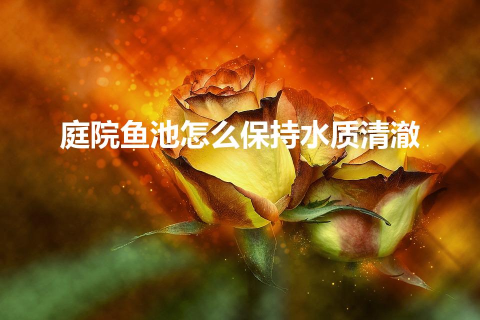 庭院鱼池怎么保持水质清澈（怎样让鱼池水变清澈）
