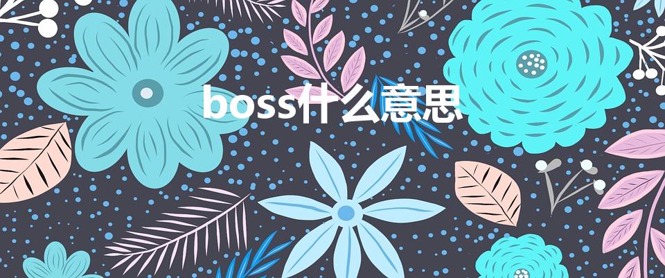 boss什么意思（boss是什么意思英语）