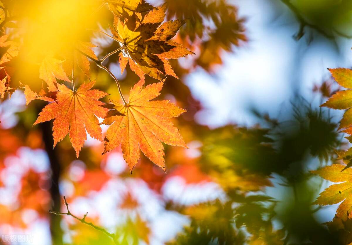 2f6d6b23b624475d836de4a3613cd8dbnoop.image_ 2f6d6b23b624475d836de4a3613cd8dbnoop.image_