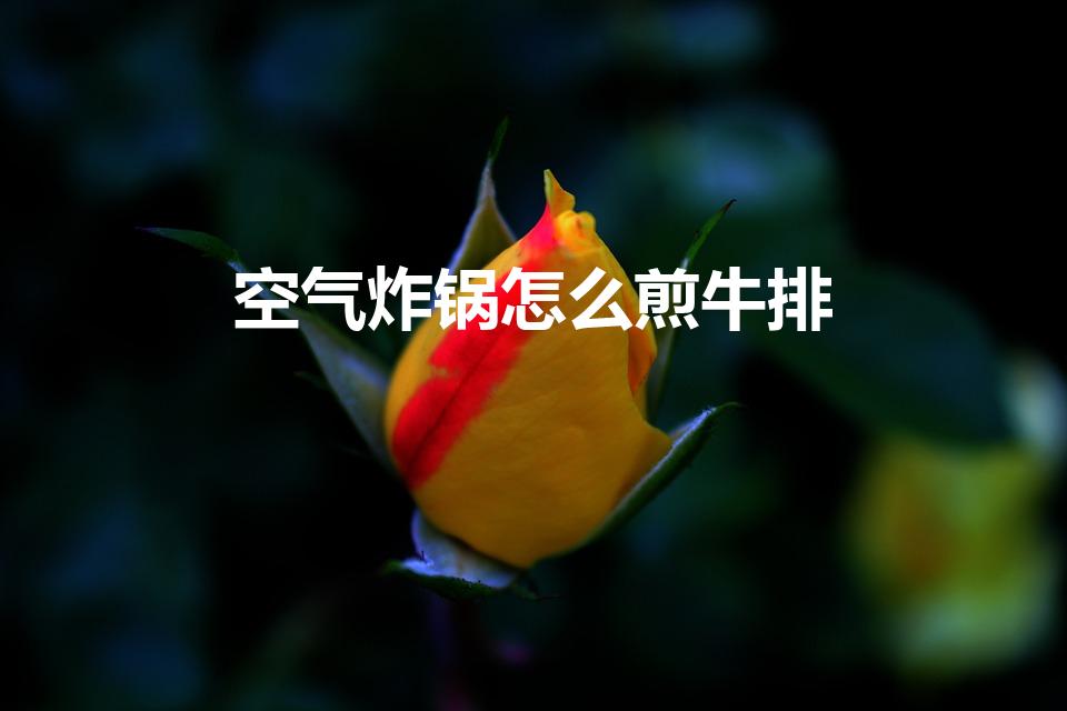空气炸锅怎么煎牛排（空气炸锅做牛排的做法）