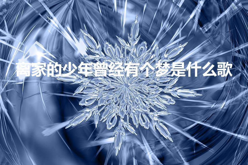 离家的少年曾经有个梦是什么歌