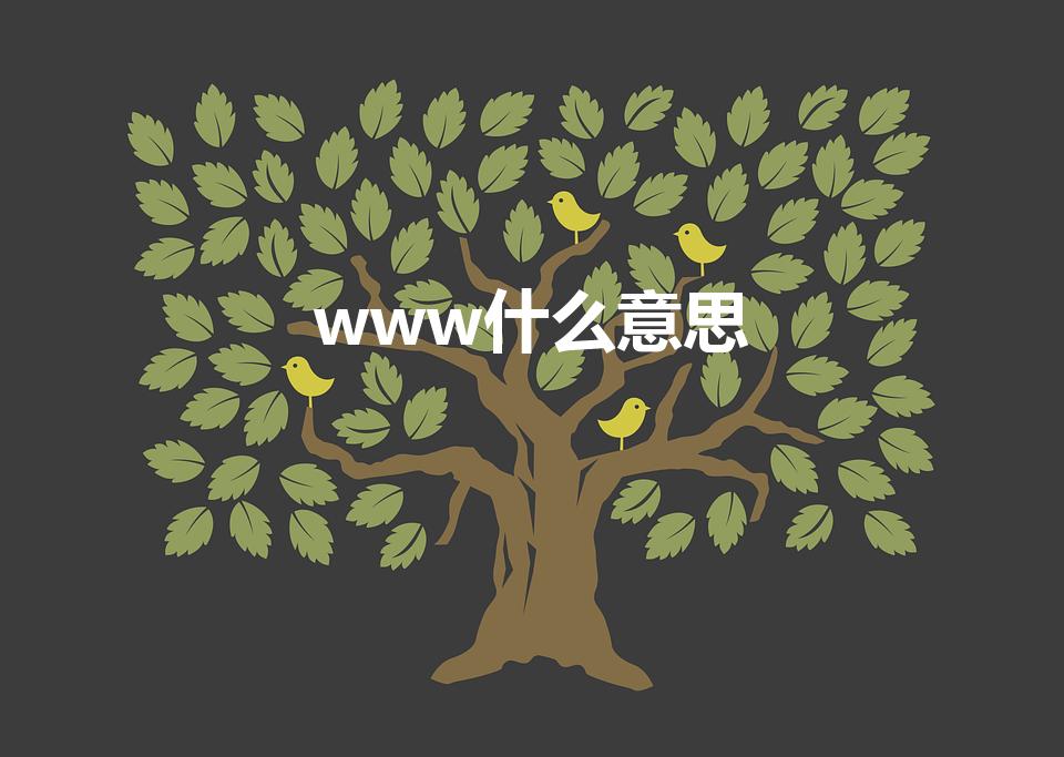 www什么意思（www是什么意思呀）
