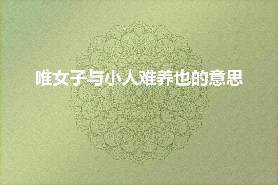 唯女子与小人难养也的意思