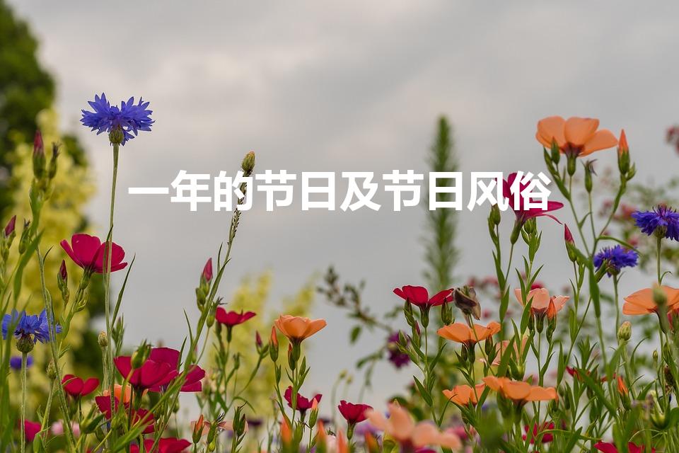 一年的节日及节日风俗（一年中所有节日及其习俗）