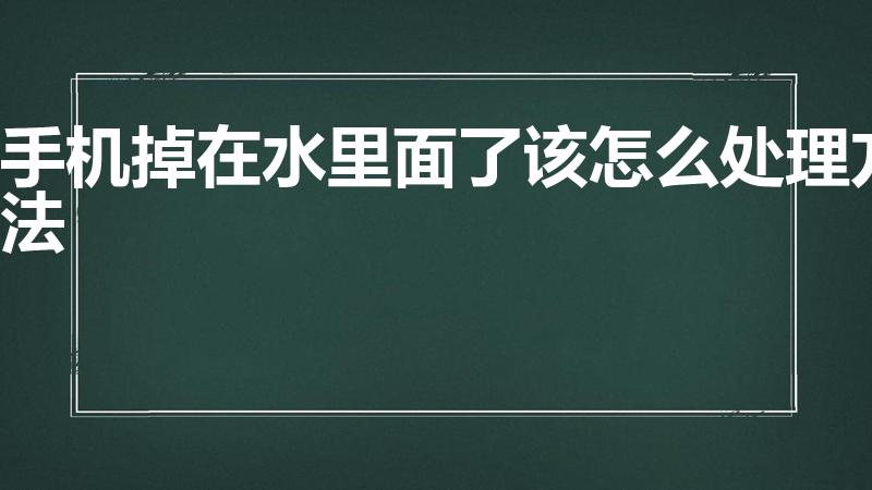 手机掉在水里面了该怎么处理方法（手机掉水里了该怎么处理）