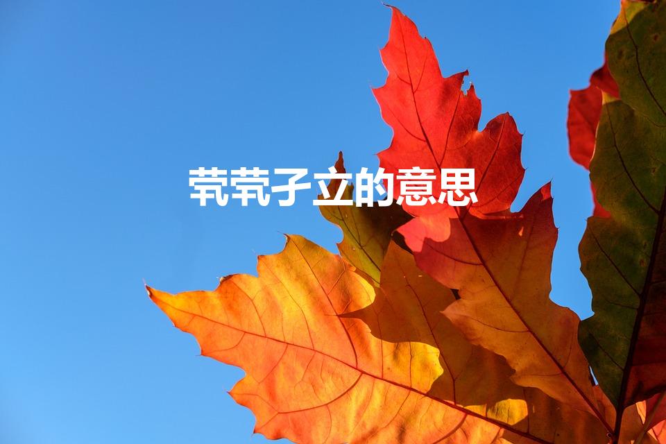 茕茕孑立的意思
