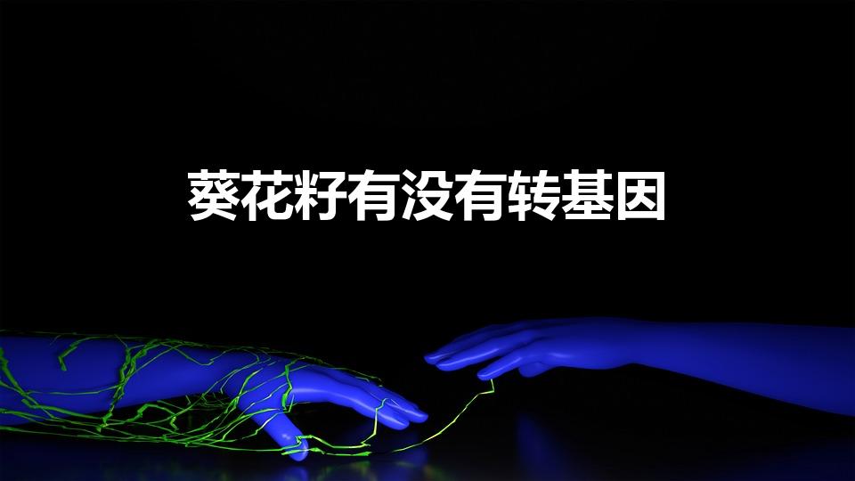 葵花籽有没有转基因（葵花籽有转基因吗）