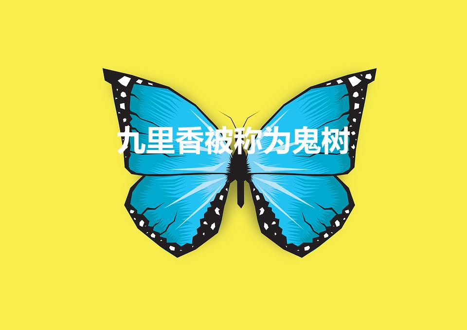 九里香被称为鬼树（为什么说九里香是鬼树）