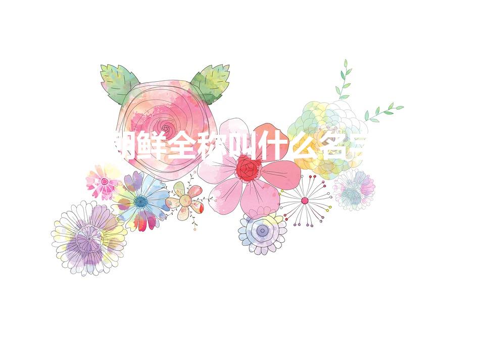 朝鲜全称叫什么名字（朝鲜全称是什么）