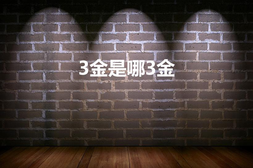 3金是哪3金（三金是指哪三金）