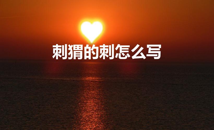 刺猬的刺怎么写（刺猬的刺的笔顺是什么）