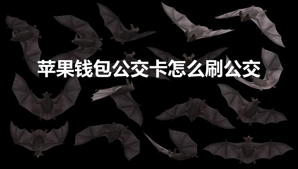 苹果钱包公交卡怎么刷公交（苹果手机钱包怎么刷公交卡）
