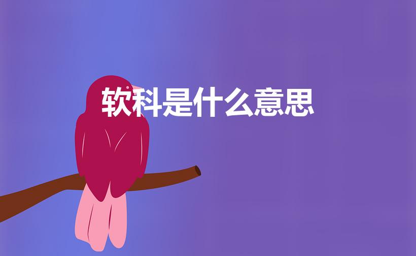 软科是什么意思（软科是什么意思(软科是什么意思啊大学)）