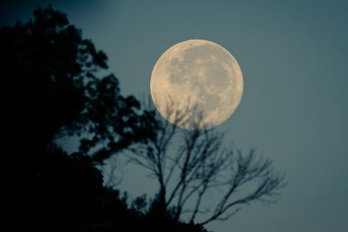 月亮优美的惊艳句子？月亮的经典短句