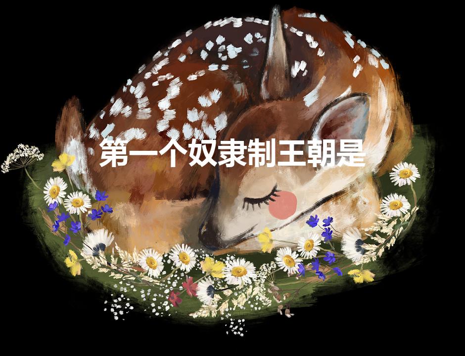 第一个奴隶制王朝是