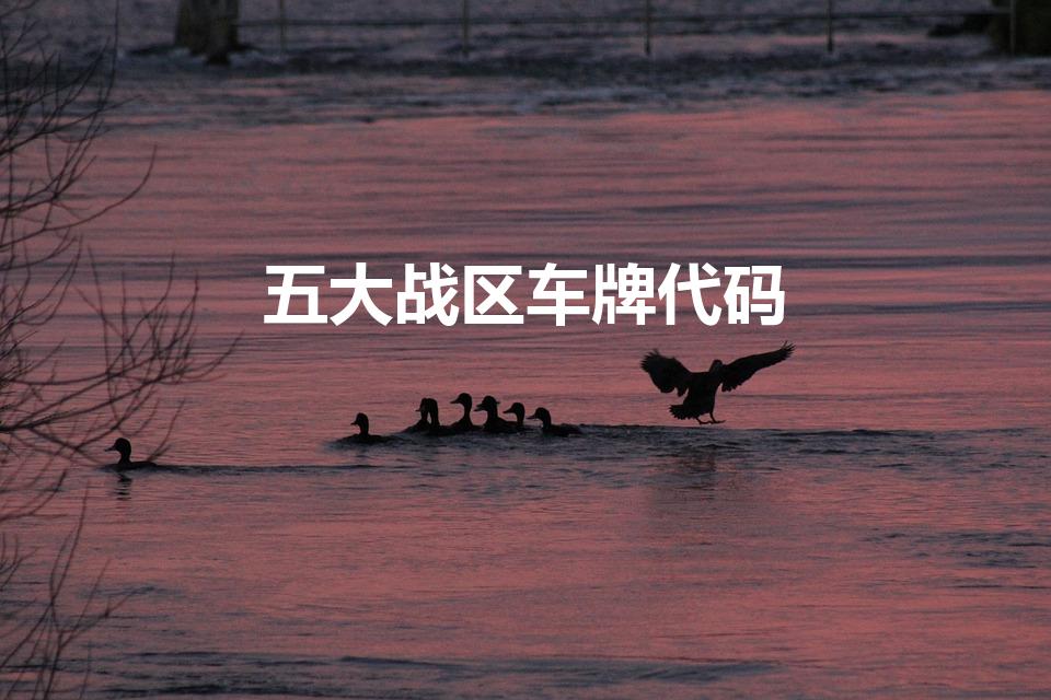 五大战区车牌代码（五大战区车牌规则是什么）