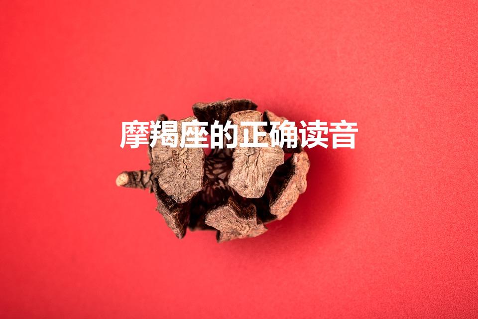 摩羯座的正确读音（摩羯座的读音是）