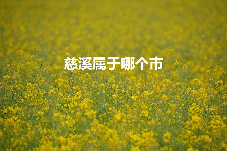 慈溪属于哪个市（慈溪市属于哪个市）