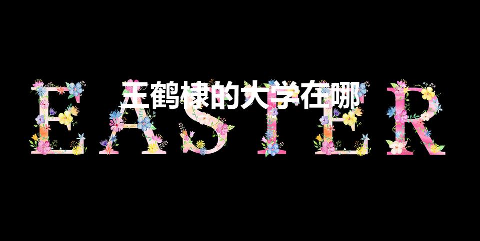 王鹤棣的大学在哪（王鹤棣是什么学校毕业的）