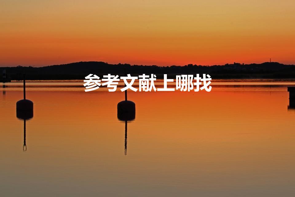 参考文献上哪找（参考文献去哪里找）