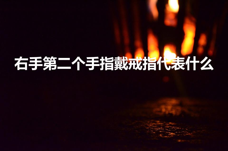 右手第二个手指戴戒指代表什么（戒指带第二个手指代表什么）