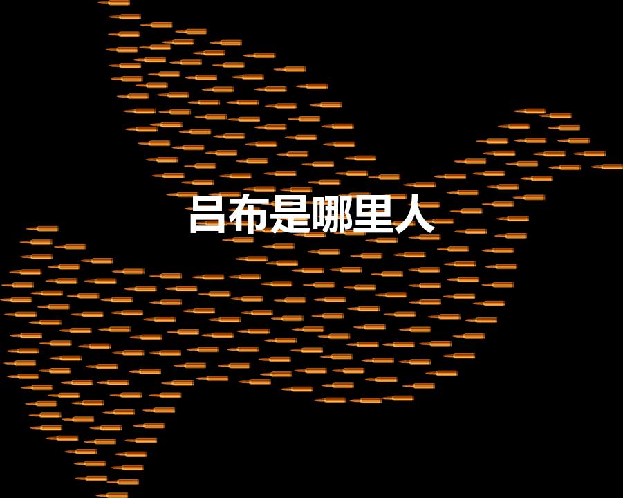 吕布是哪里人（吕布是哪里人,今为哪个省）