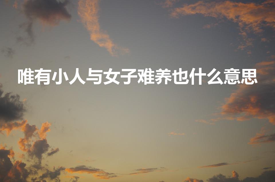 唯有小人与女子难养也什么意思
