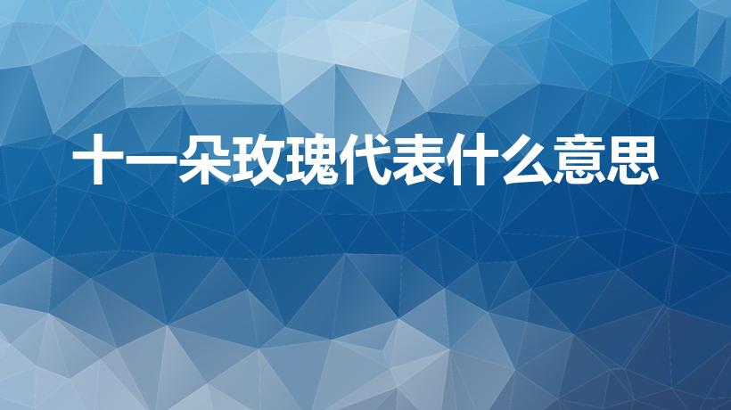 十一朵玫瑰代表什么意思（11朵玫瑰代表什么意思）