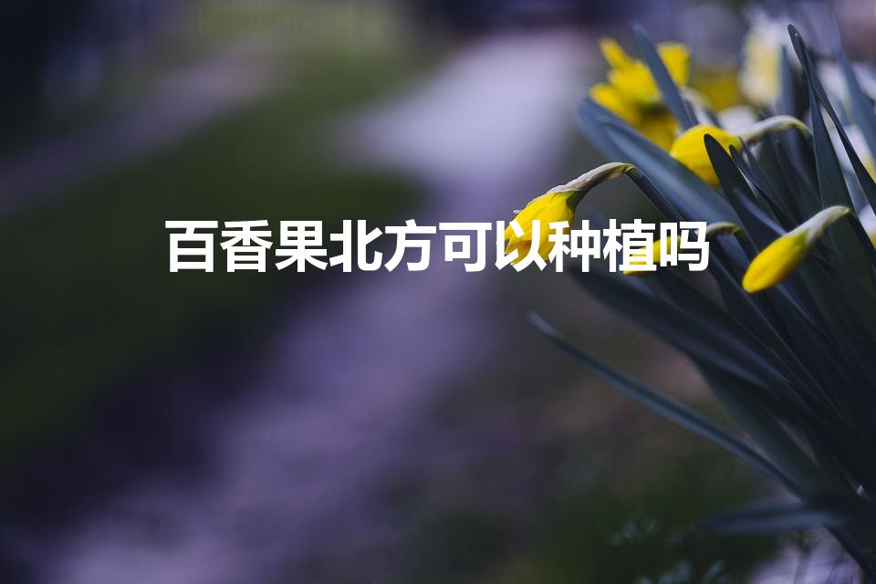 百香果北方可以种植吗（北方能种百香果吗）