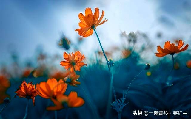 a954aa84fd43439d8897f7e8fdaf400anoop.image_ a954aa84fd43439d8897f7e8fdaf400anoop.image_