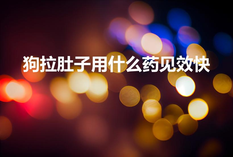 狗拉肚子用什么药见效快（狗狗拉肚子吃什么药好得快）