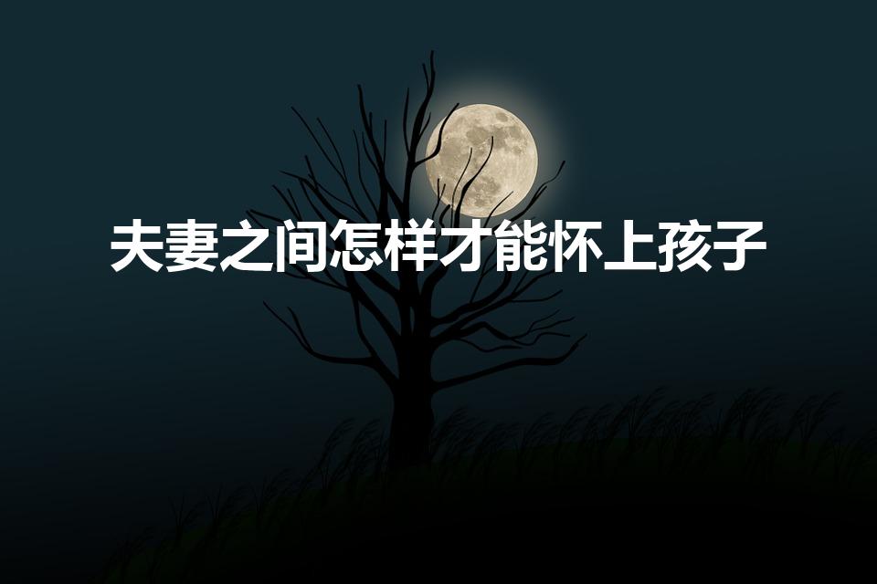 夫妻之间怎样才能怀上孩子（男女怎样才能怀上宝宝）