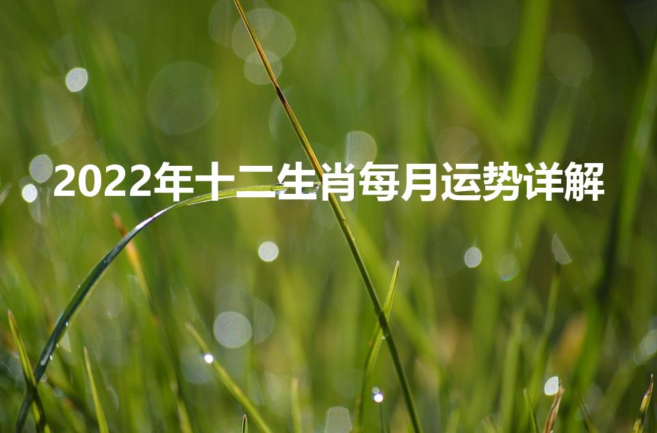 2022年十二生肖每月运势详解