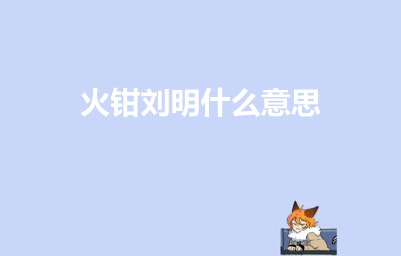 火钳刘明什么意思（火钳刘明是什么梗）