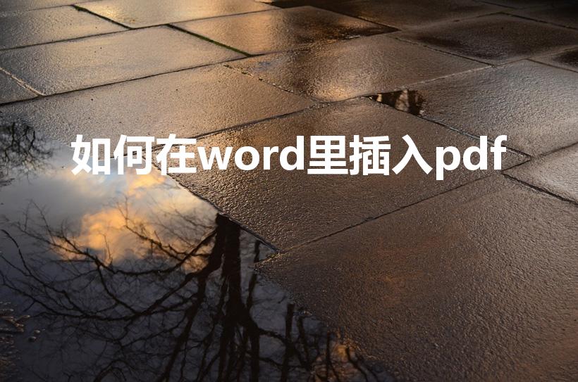 如何在word里插入pdf（word怎么插入pdf）