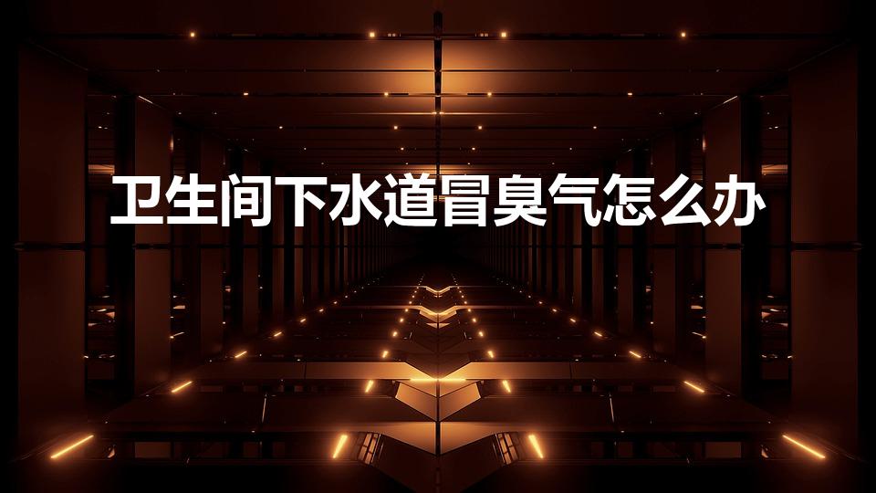 卫生间下水道冒臭气怎么办（厕所下水道发臭怎么办）