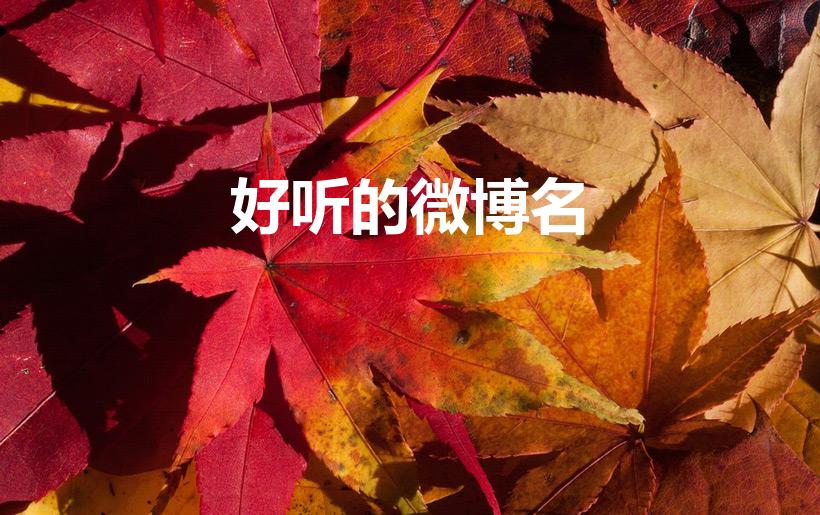 好听的微博名（好听又不重复的微博名）