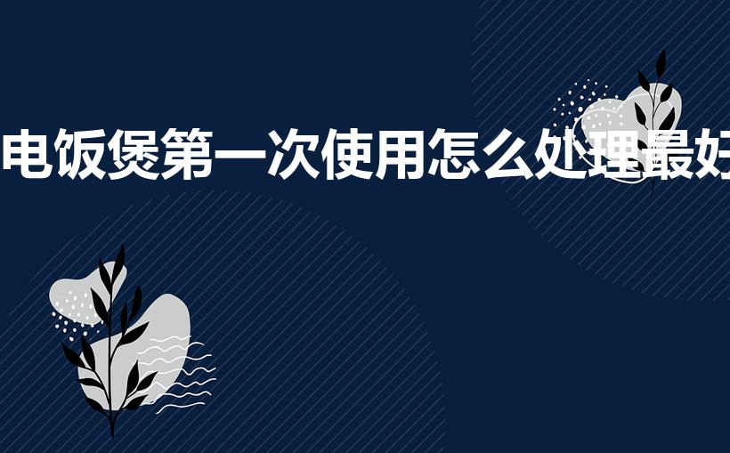 电饭煲第一次使用怎么处理最好（新电饭锅第一次怎么用）