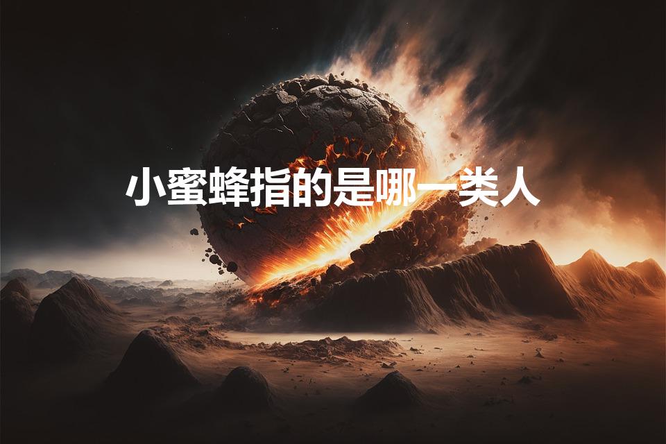 小蜜蜂指的是哪一类人