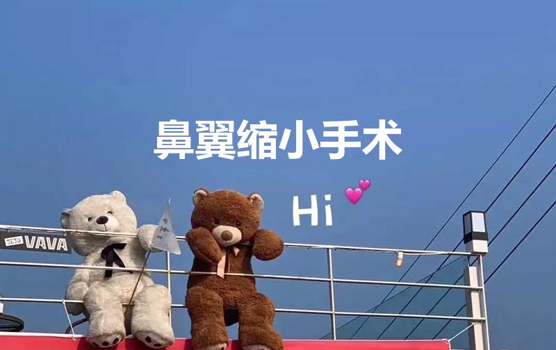 鼻翼缩小手术（怎样缩小鼻翼和鼻头）