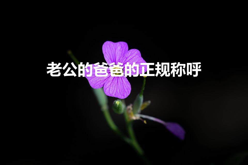 老公的爸爸的正规称呼（老公的爸爸书面称谓是什么）