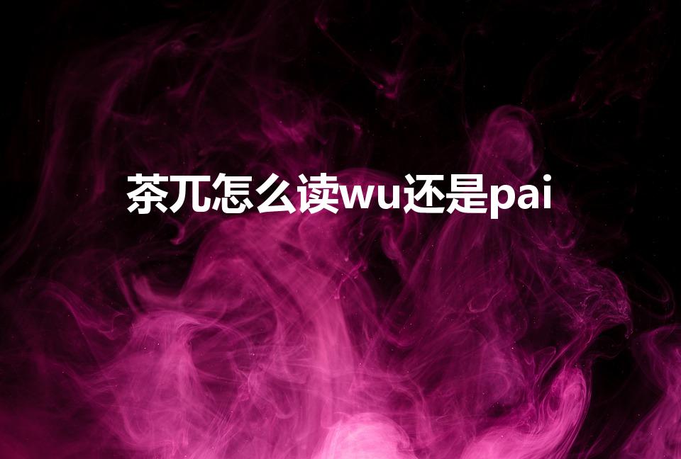 茶兀怎么读wu还是pai（茶兀念wu还是念pai）