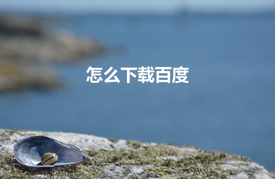 怎么下载百度（电脑怎么下载百度）