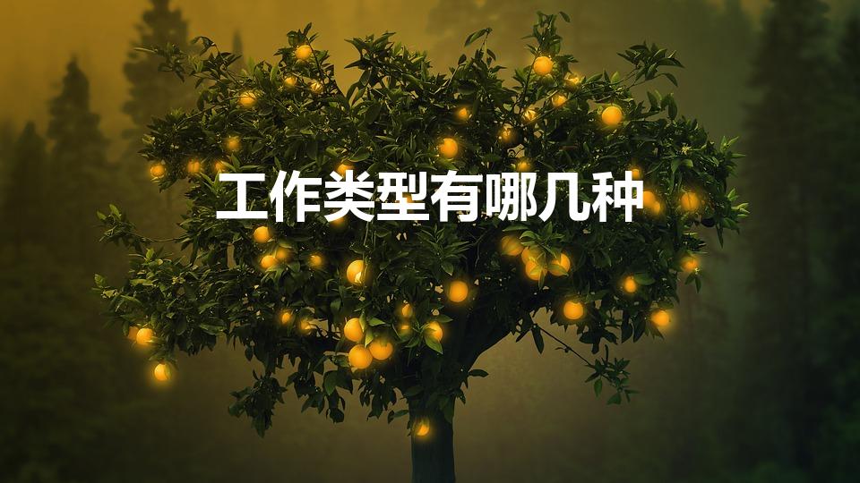 工作类型有哪几种（工作性质的分类有几种）