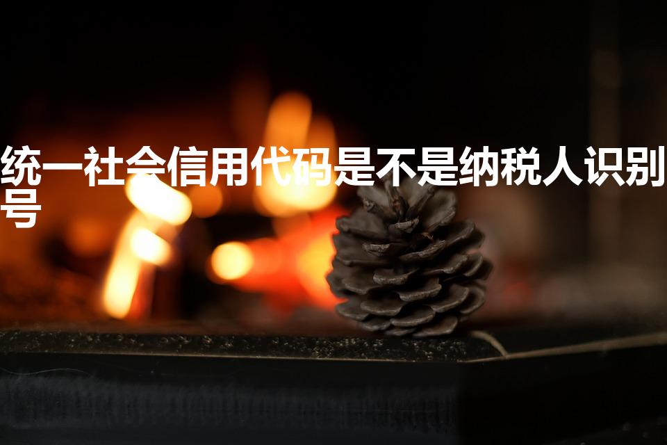 统一社会信用代码是不是纳税人识别号